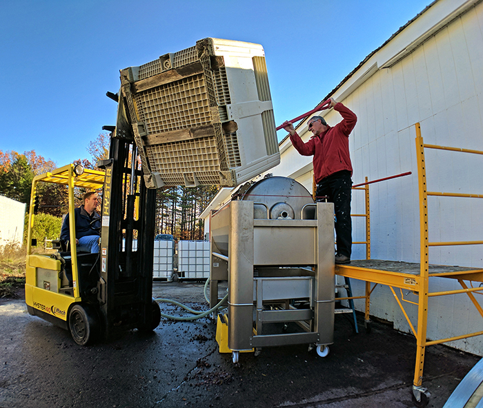 shoveling iced cab franc into press